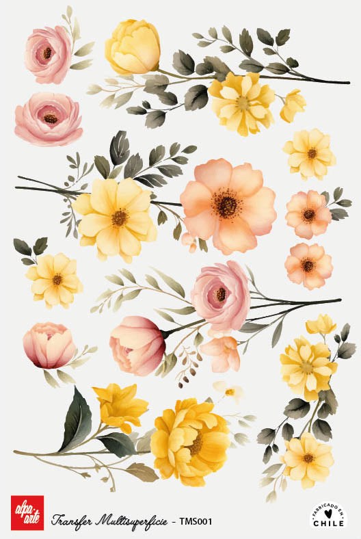 Transfer Multisuperficie TMS001