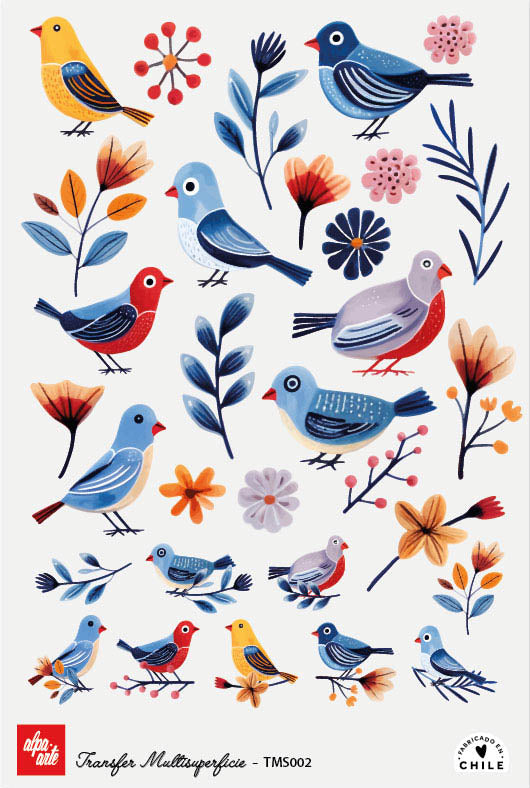 Transfer Multisuperficie TMS002