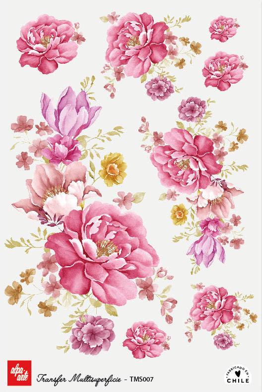 Transfer Multisuperficie TMS007