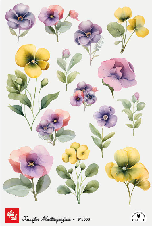 Transfer Multisuperficie TMS008