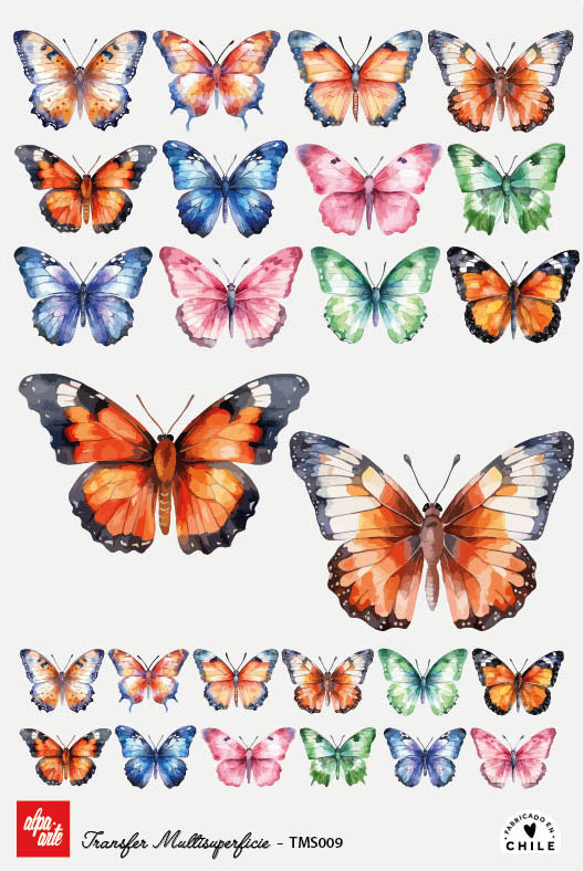 Transfer Multisuperficie TMS009