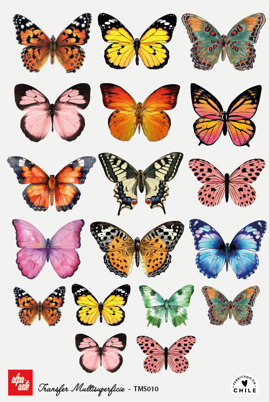 Transfer Multisuperficie TMS010