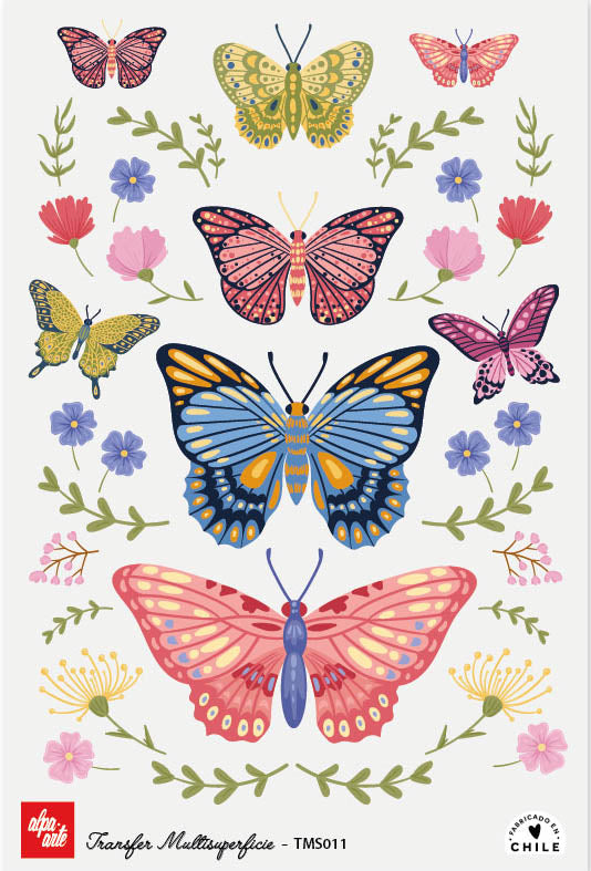 Transfer Multisuperficie TMS011