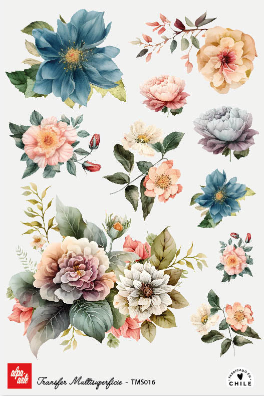 Transfer Multisuperficie TMS016