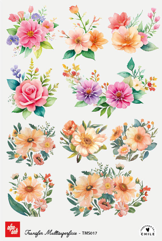 Transfer Multisuperficie TMS017