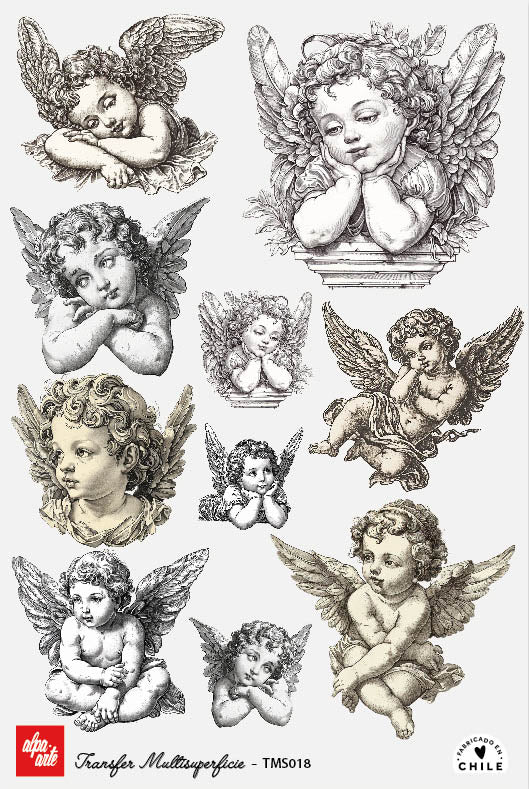 Transfer Multisuperficie TMS018