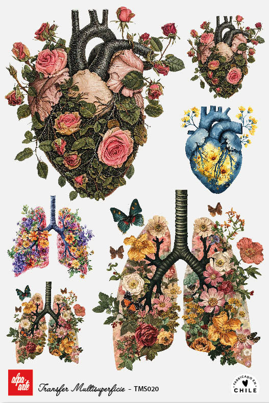 Transfer Multisuperficie TMS020