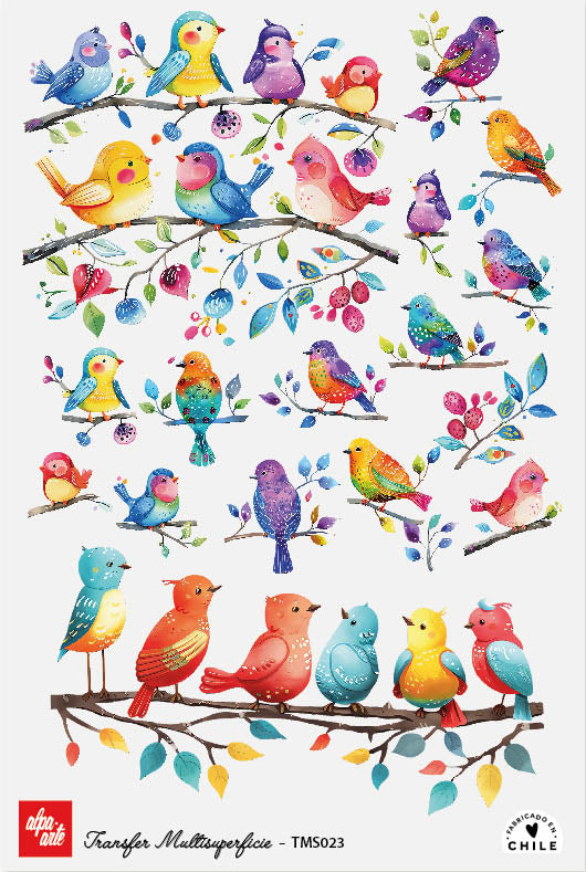 Transfer Multisuperficie TMS023