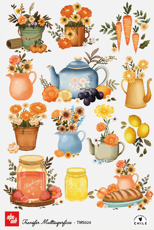 Transfer Multisuperficie TMS024