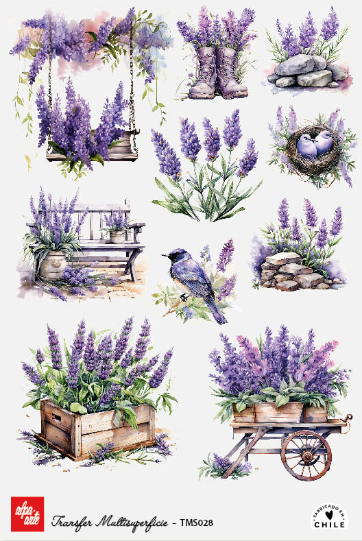 Transfer Multisuperficie TMS028