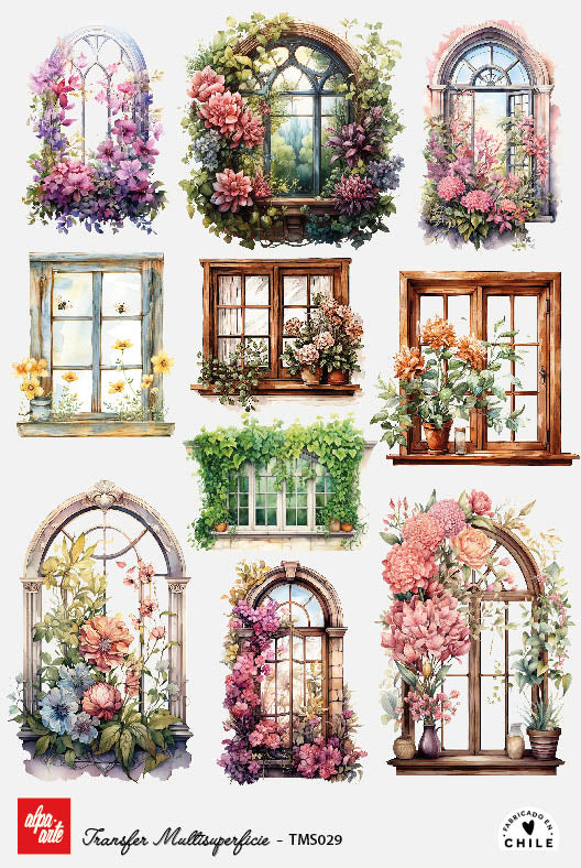 Transfer Multisuperficie TMS029