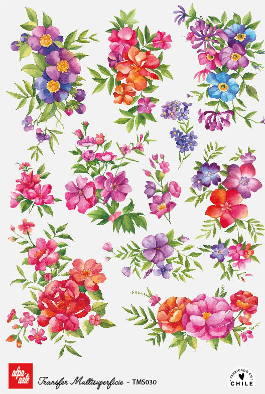 Transfer Multisuperficie TMS030