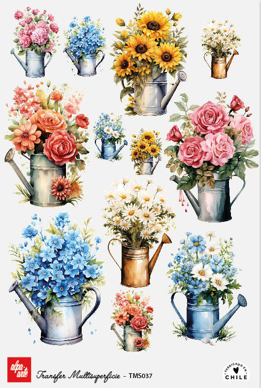 Transfer Multisuperficie TMS037