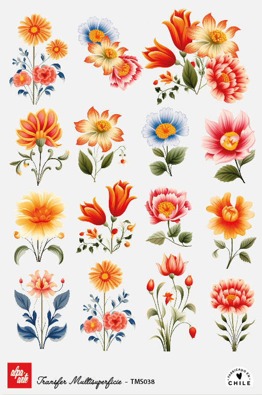 Transfer Multisuperficie TMS038