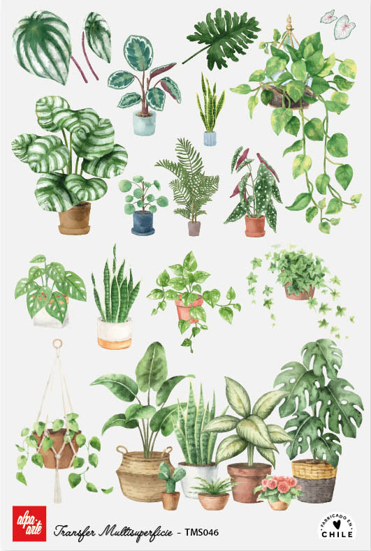 Transfer Multisuperficie TMS046