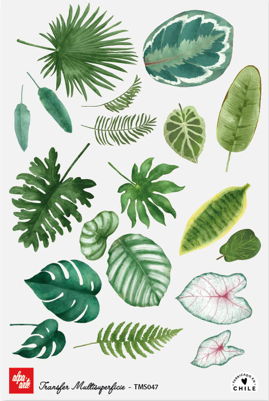 Transfer Multisuperficie TMS047