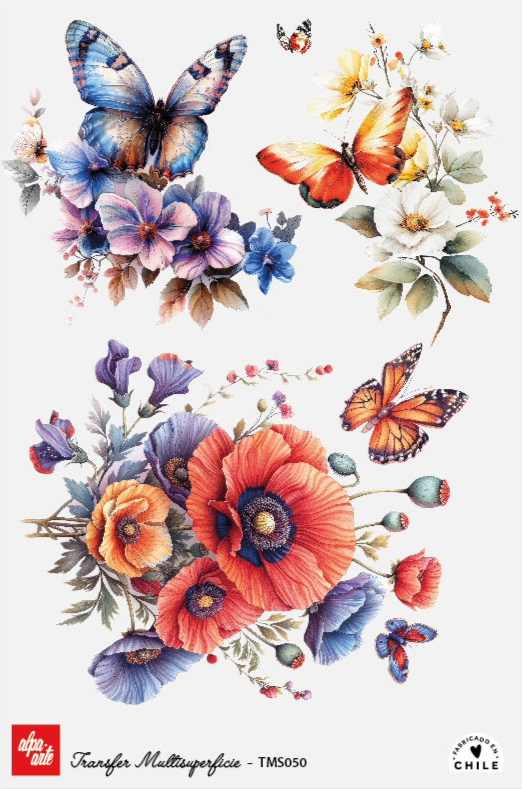 Transfer Multisuperficie TMS050