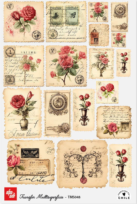 Transfer Multisuperficie TMS048