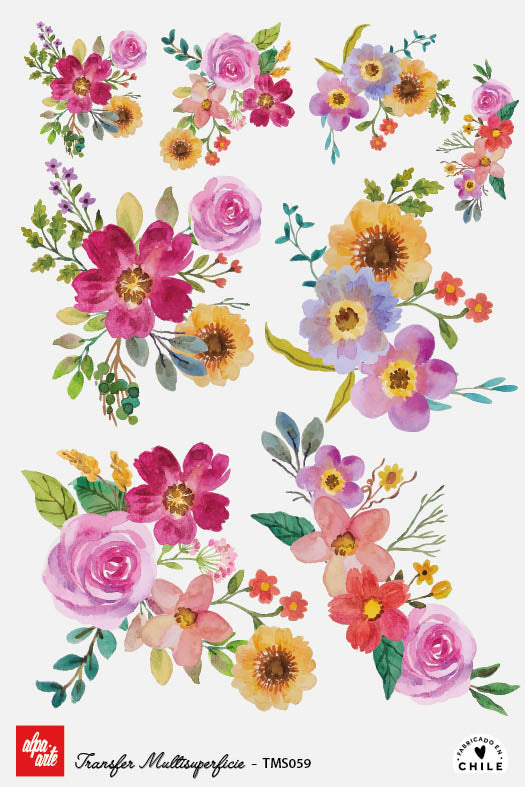 Transfer Multisuperficie TMS059