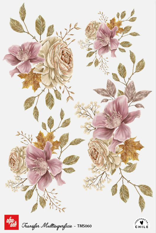 Transfer Multisuperficie TMS060