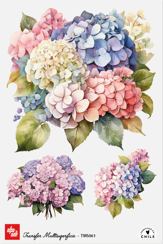 Transfer Multisuperficie TMS061