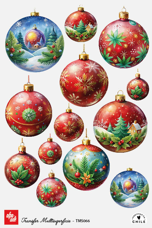 Transfer Multisuperficie TMS066