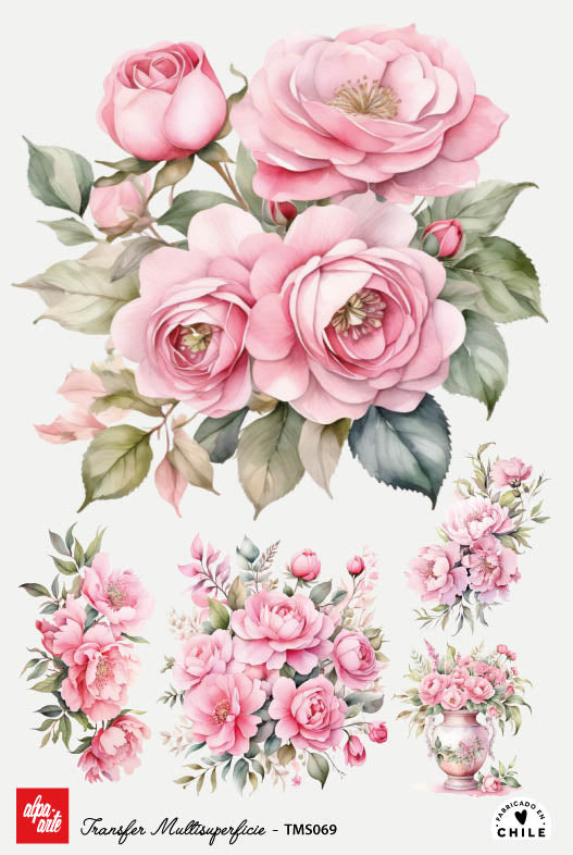 Transfer Multisuperficie TMS069