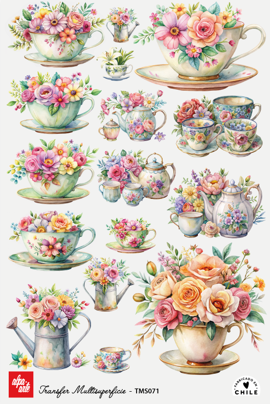 Transfer Multisuperficie TMS071