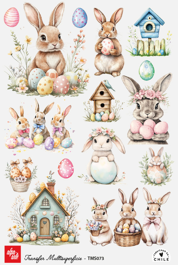 Transfer Multisuperficie TMS073