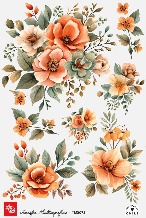 Transfer Multisuperficie TMS075