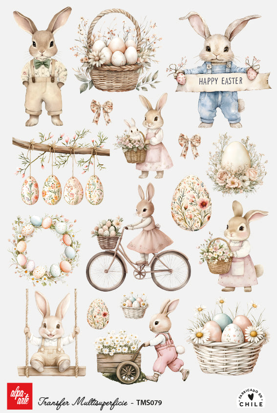 Transfer Multisuperficie TMS079