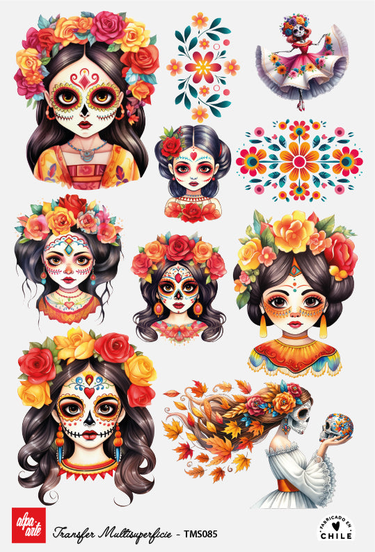 Transfer Multisuperficie TMS085