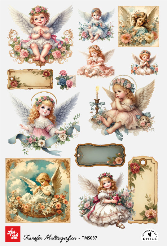 Transfer Multisuperficie TMS087