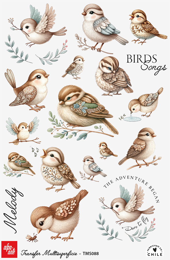 Transfer Multisuperficie TMS088