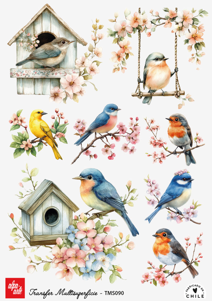 Transfer Multisuperficie TMS090