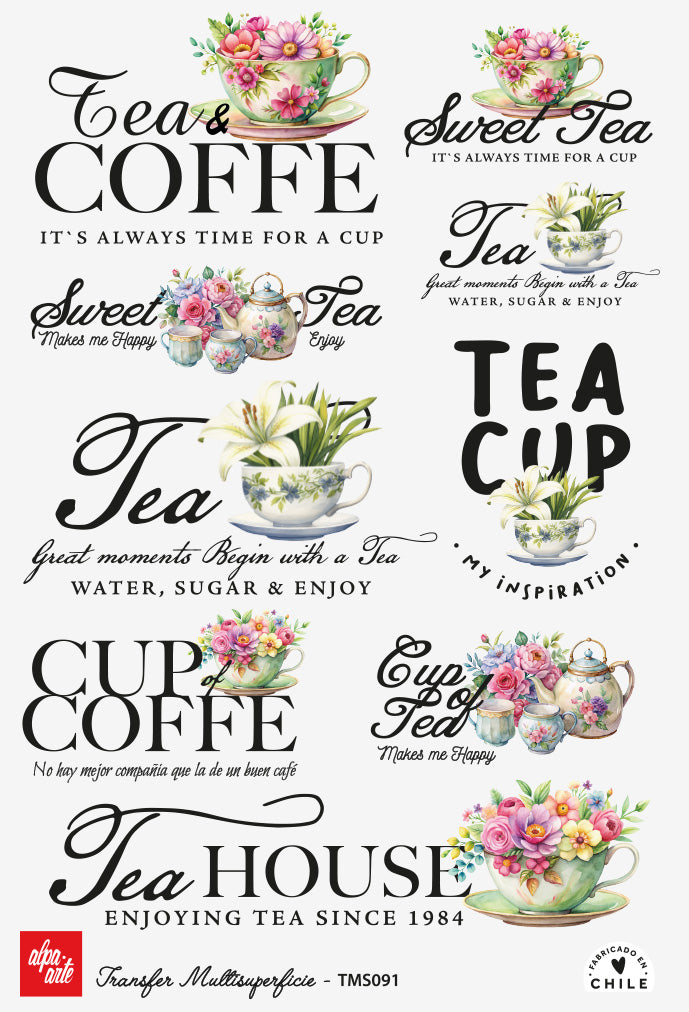 Transfer Multisuperficie TMS091