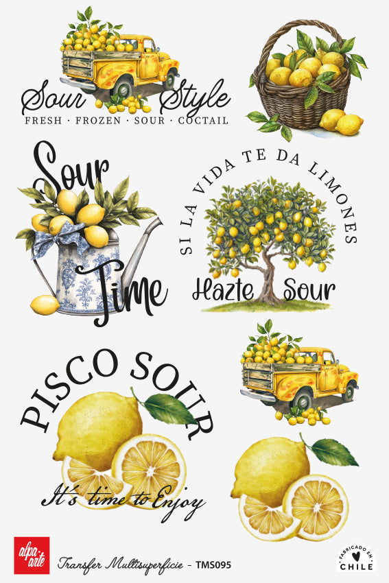 Transfer Multisuperficie TMS095