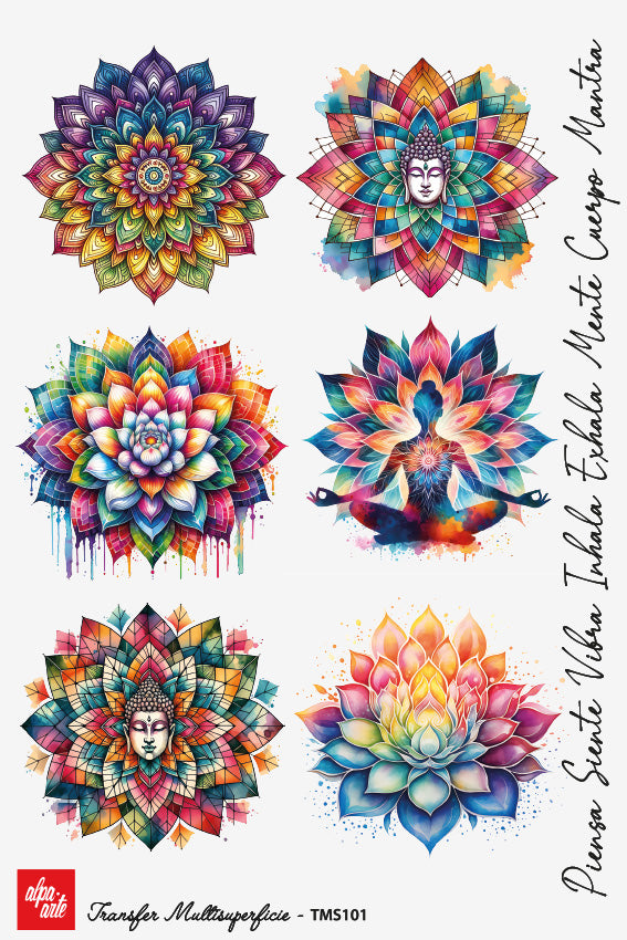 Transfer Multisuperficie TMS101