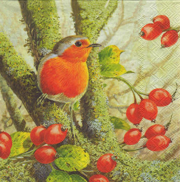 Servilleta de para Decoupage - 1010800