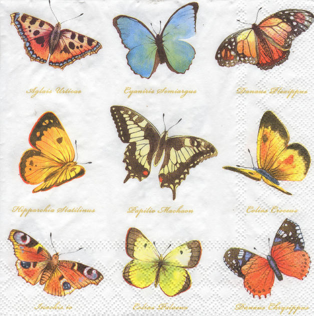 Servilleta de para Decoupage - 1330 7160