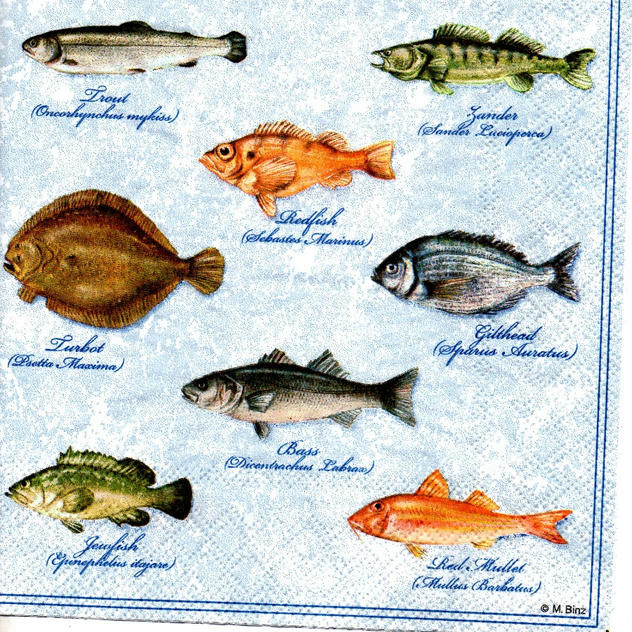 Servilleta de para Decoupage - 1330-8045