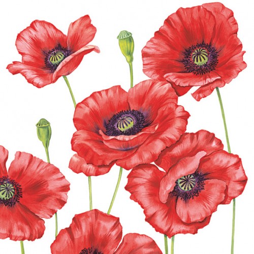 Servilleta para Decoupage - 1330 8505