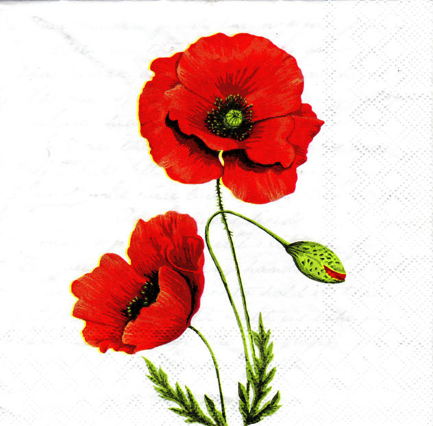 Servilleta para Decoupage - 1331 6120