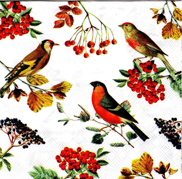 Servilleta para Decoupage - 1331 7730