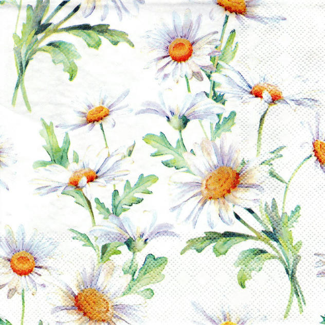 Servilleta para Decoupage - 1331 9545