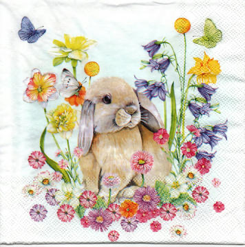 Servilleta para Decoupage - 1331 8305