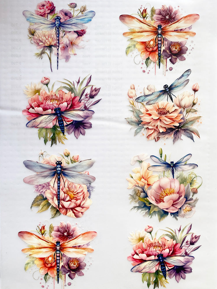 Transfer Multisuperficie DMR004