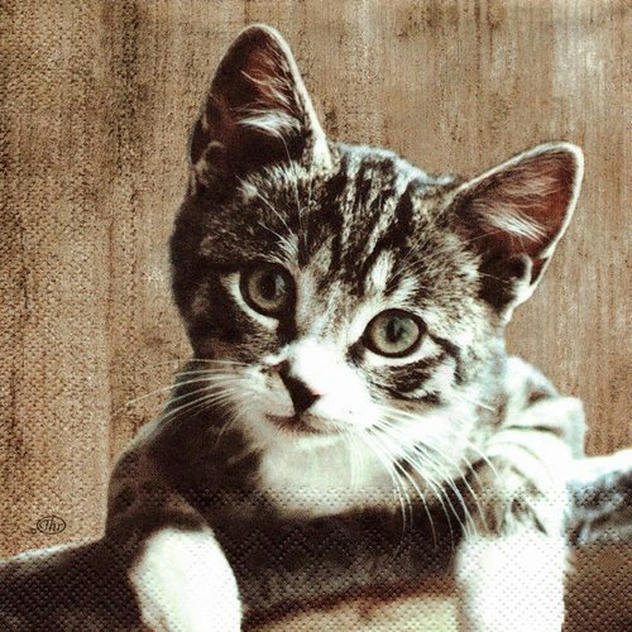 Servilleta de para Decoupage - 770000