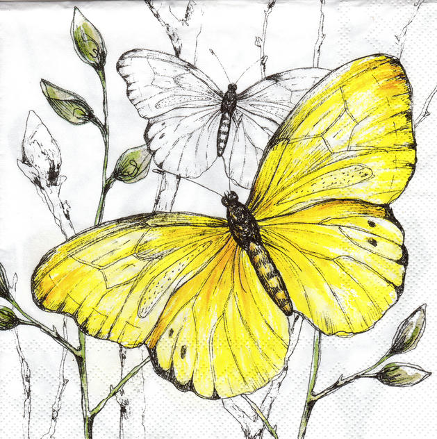 Servilleta de para Decoupage - 843670