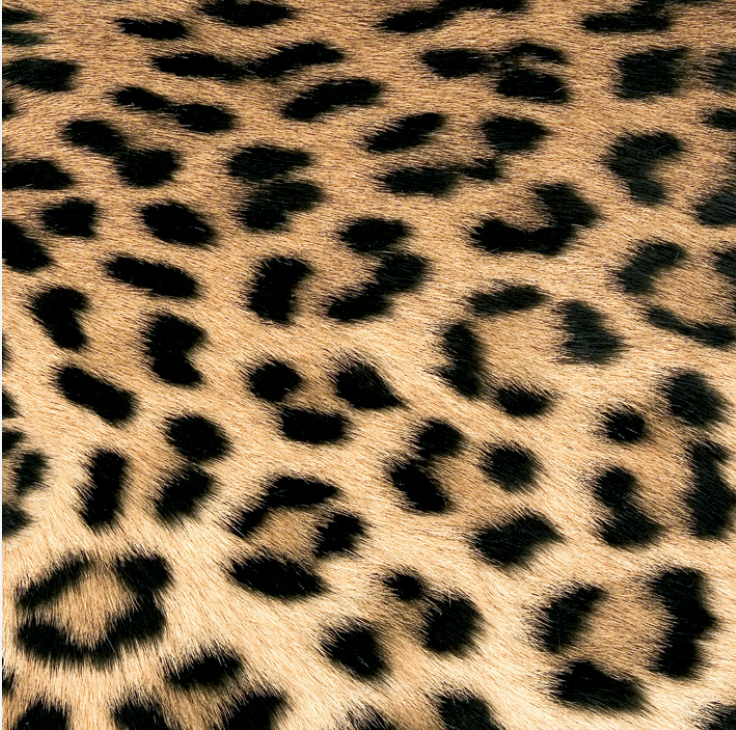 Servilleta de para Decoupage - 6530